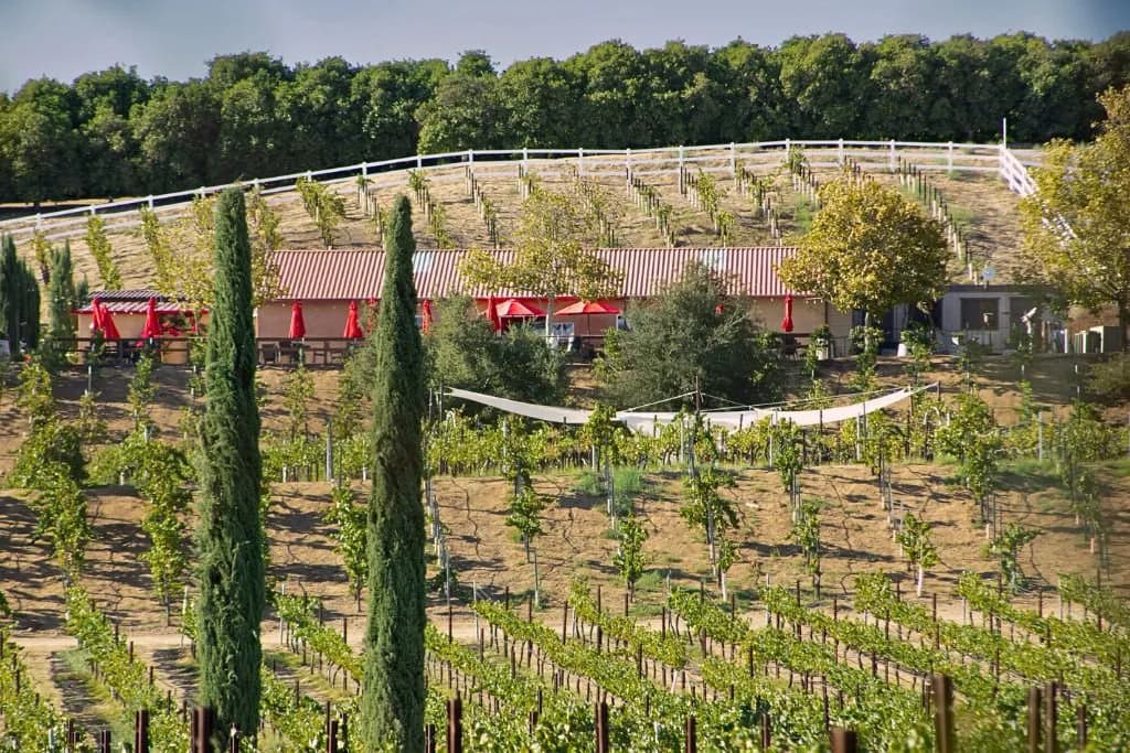 Frangipani Estate Winery photo