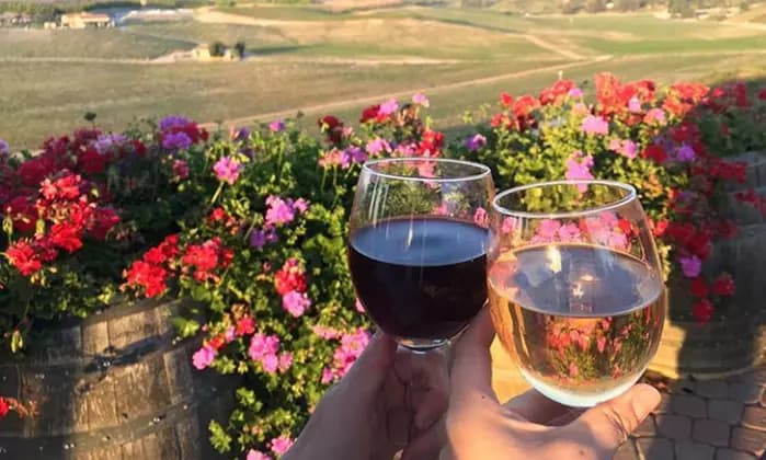 Wine Tasting Deals for 2, 4, or 6 at Bella Vista Winery (Up to 47% Off) cover