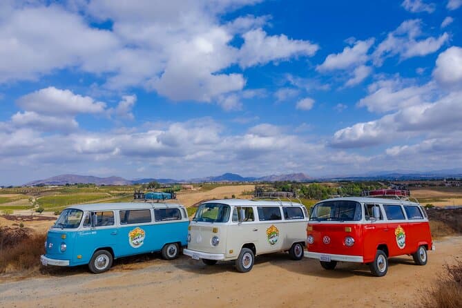 VW Bus Wine Tour Temecula - Retro Cali Vibes cover