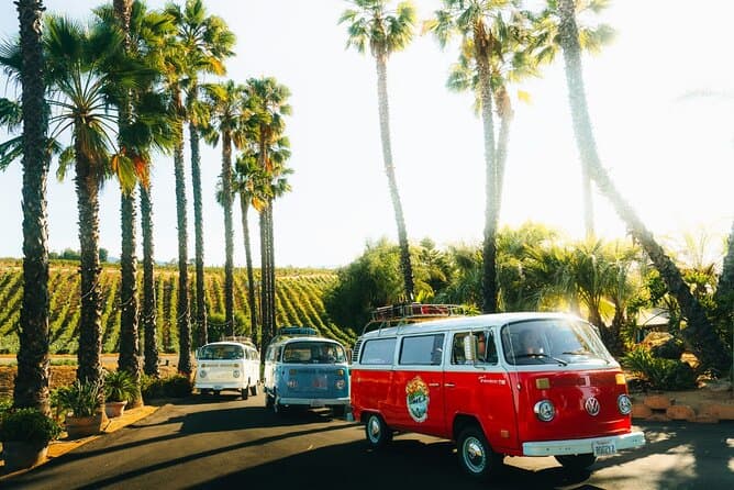 Private VW Bus Wine Tour Temecula - Retro Cali Vibes cover