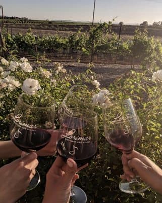 Lorimar Vineyards photo 6