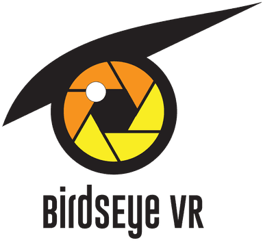 BirdsEye VR logo